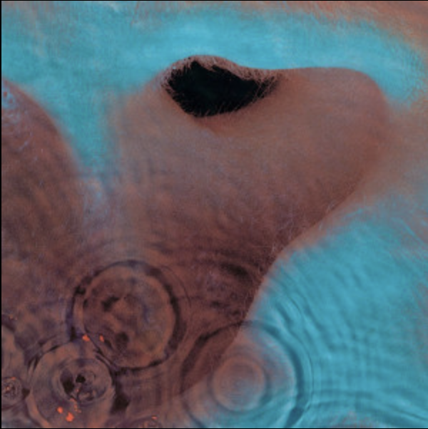 Meadle - Pink Floyd.